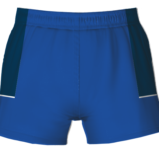 Barrow Island shorts 2 back